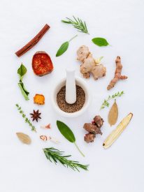 5 Easy and Delicious Recipes for Beginner Cooks Cooking