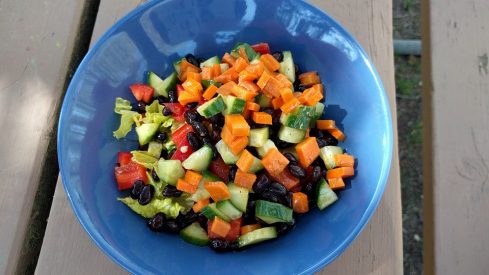 7 Quick and Easy Vegetarian Dinners for Busy Weeknights easy vegetarian dinners