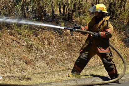 A Day in the Life of a Forest Service Professional forest service jobs