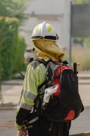 Exploring the Many Opportunities of Forest Service Jobs forest service jobs