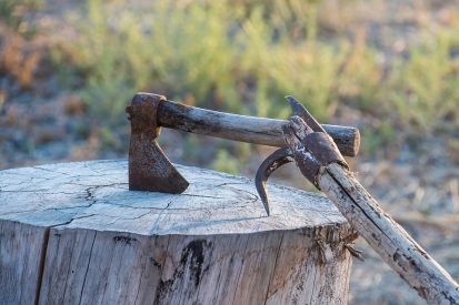 Grow Your Career in the Great Outdoors A Guide to forestry jobs