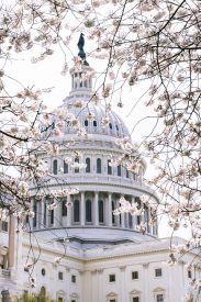 How to Land a Lucrative Government Job government jobs com