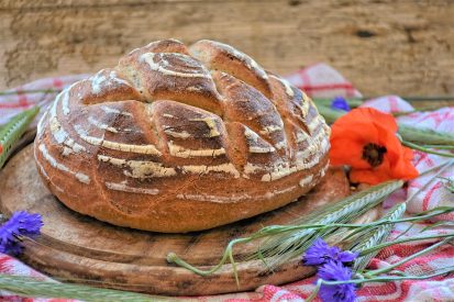 The Benefits of Cooking with a Steam Oven steam oven