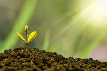 The Benefits of Investing in Sustainable and Ethical Funds Investing