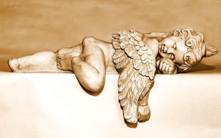 The Insiders Guide to Angel Investing What Every New Investor angel investing