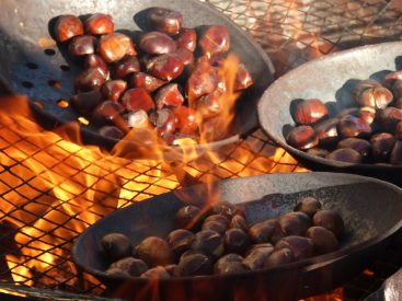 The Nutty Delight A Guide to Roasting and Enjoying Chestnuts roasted chestnuts