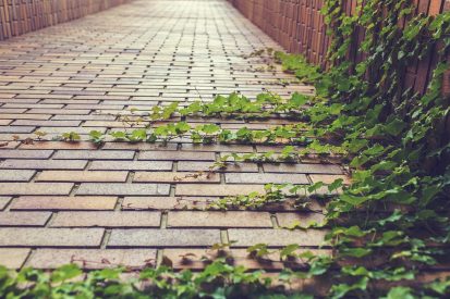 The Rise of Ecommerce Growth Agencies What You Need to ecommerce growth agency
