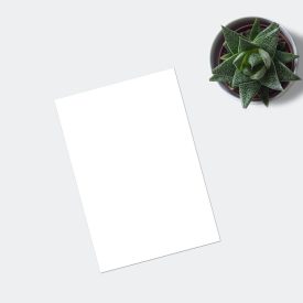 ecommerce shop