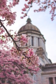 The Top 10 In Demand State Jobs for 2021 state jobs