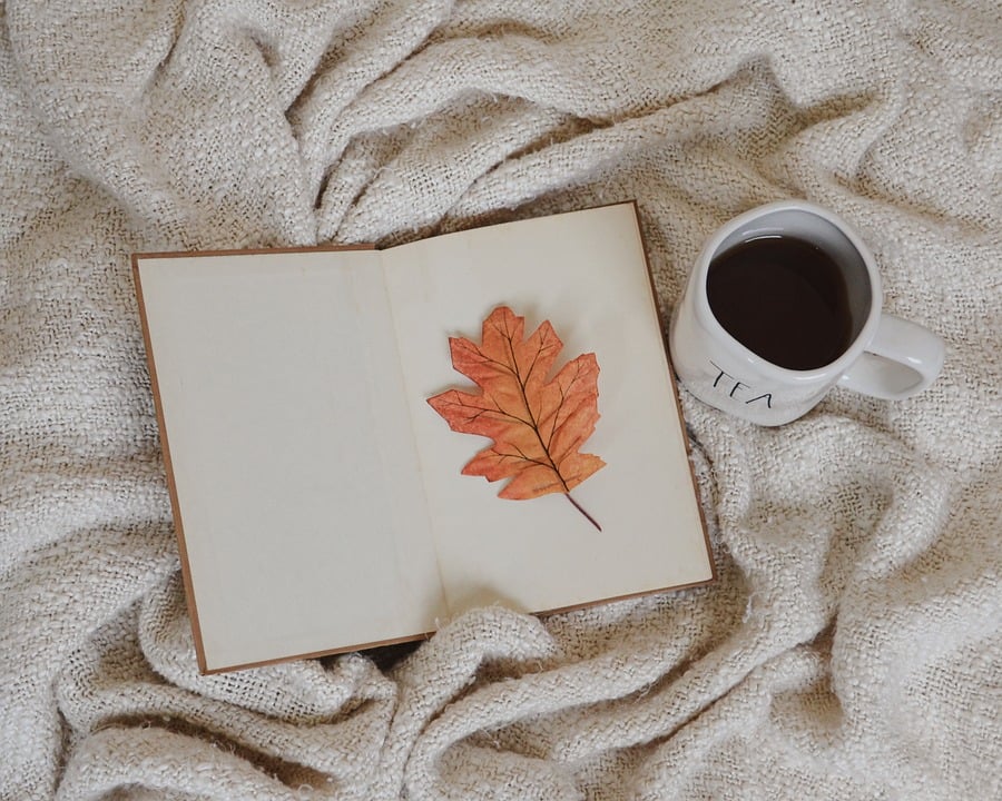 The Top Ten Must Read Fiction Books of the Year top ten fiction books